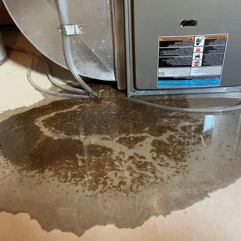 Pipe Burst and Leak Restoration in Brule County, SD