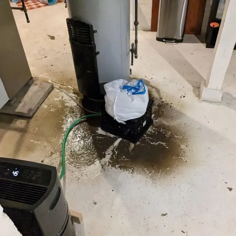 Sewage Backup Cleanup Service in Brule County, SD